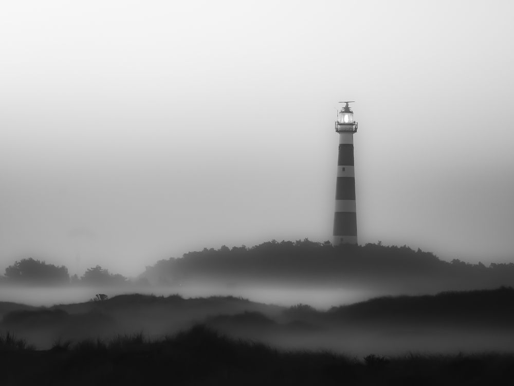 Photograph by Snider Ray