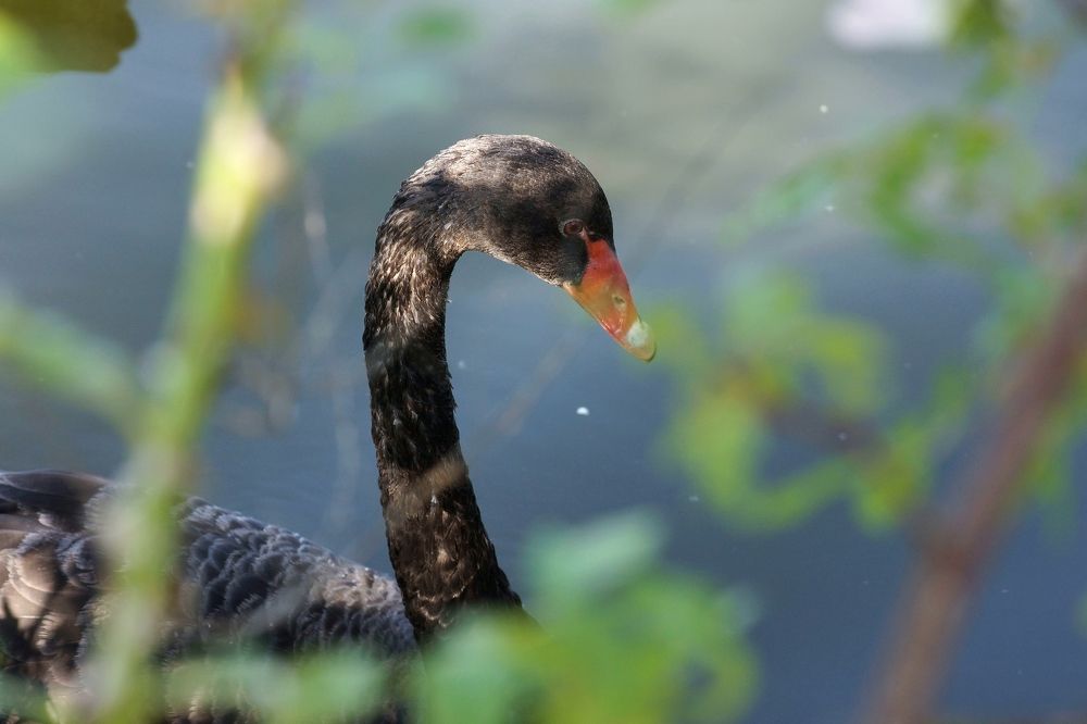 Photograph by АНДРЕЙ Роев