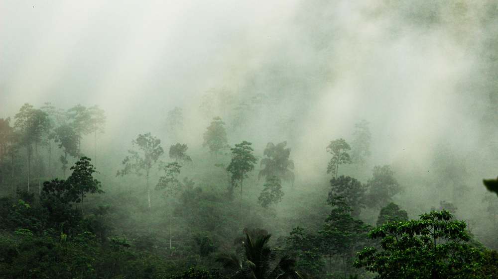 Photograph by Dayan Danesh