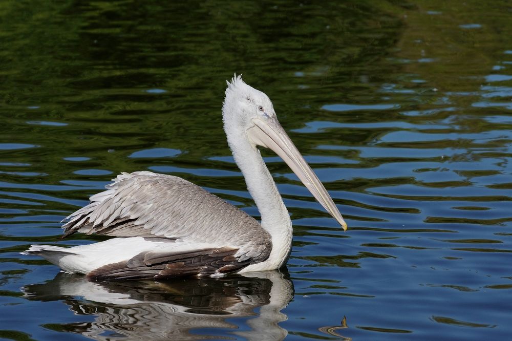 Photograph by АНДРЕЙ Роев