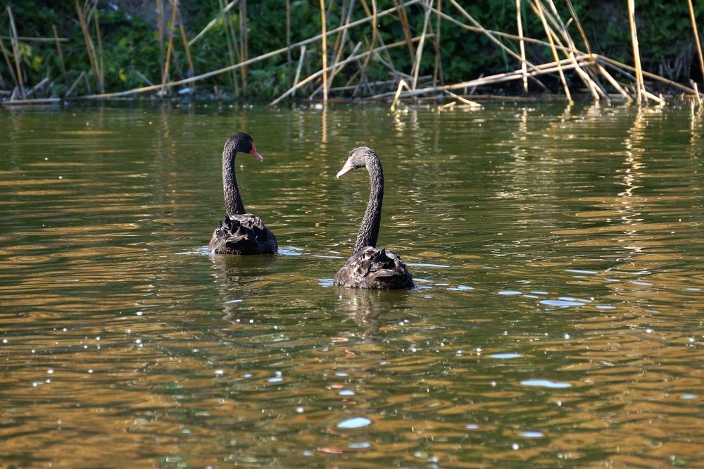 Photograph by АНДРЕЙ Роев