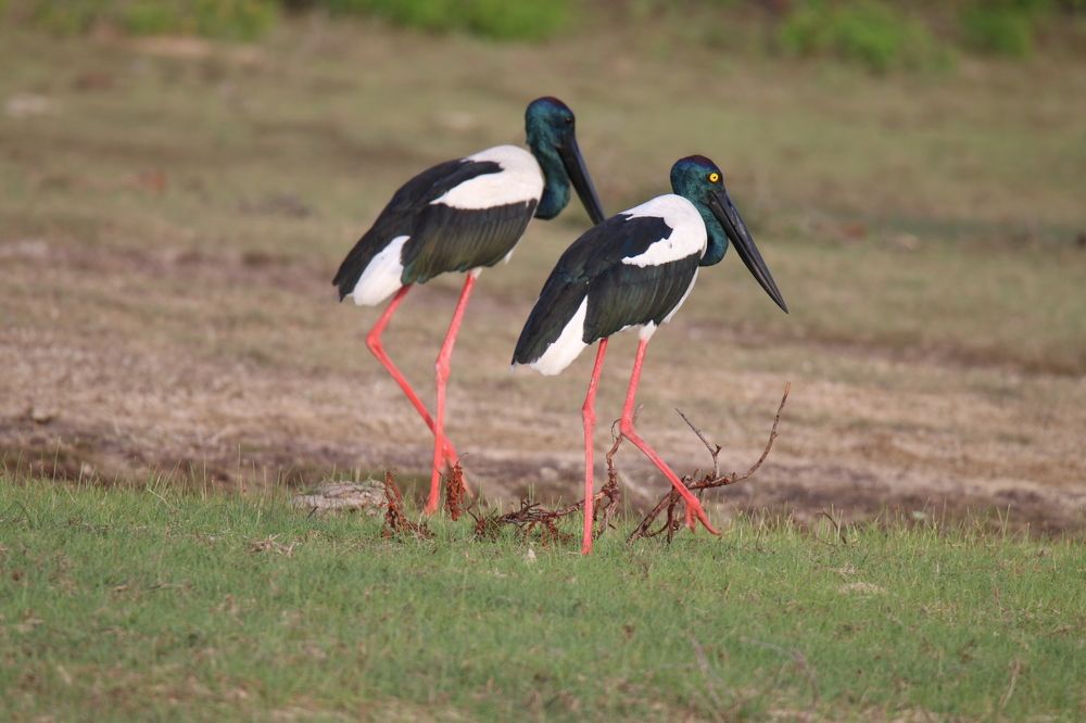 Фотография автора prabath randunu Jayasinghe