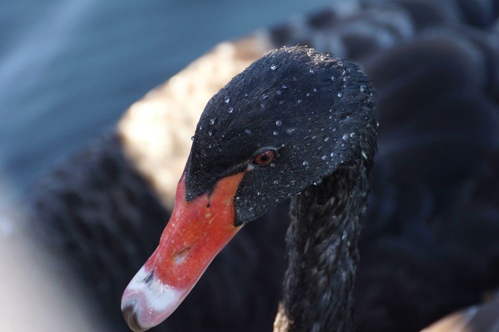 Photograph by АНДРЕЙ Роев