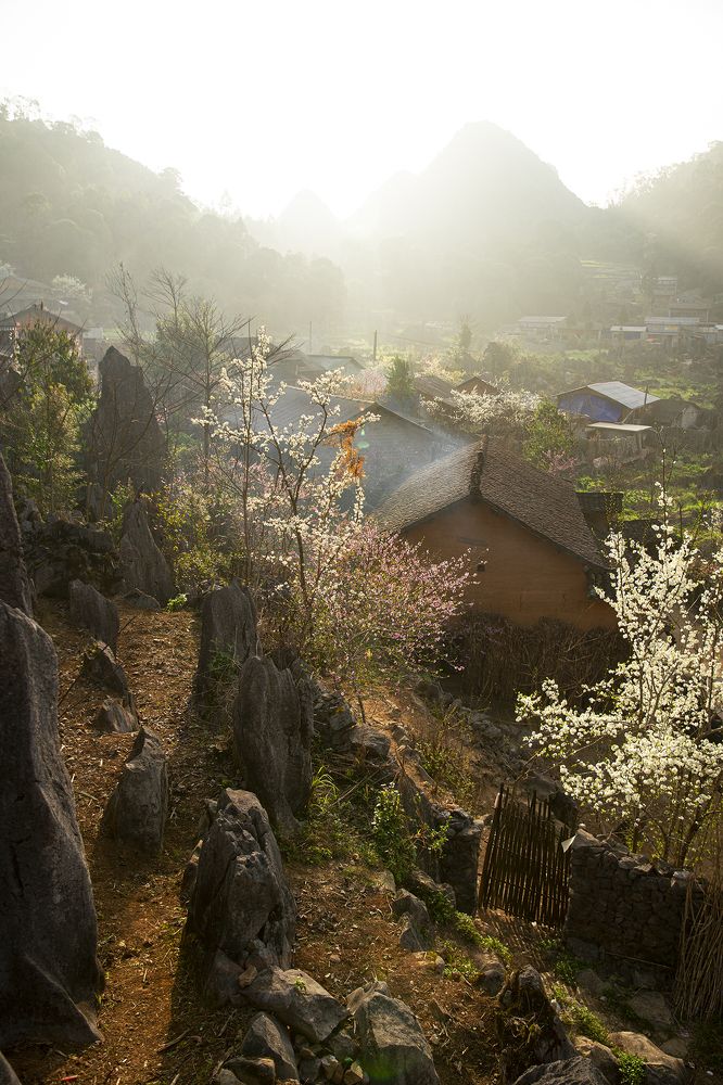 Фотография автора An Nguyen Quoc