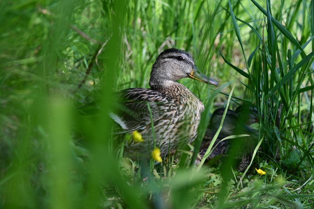 Photograph by Сергей Кривоносов