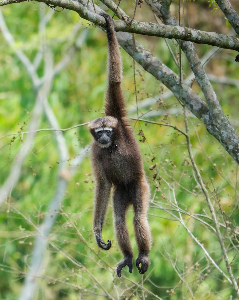 Photograph by Pinak Paul