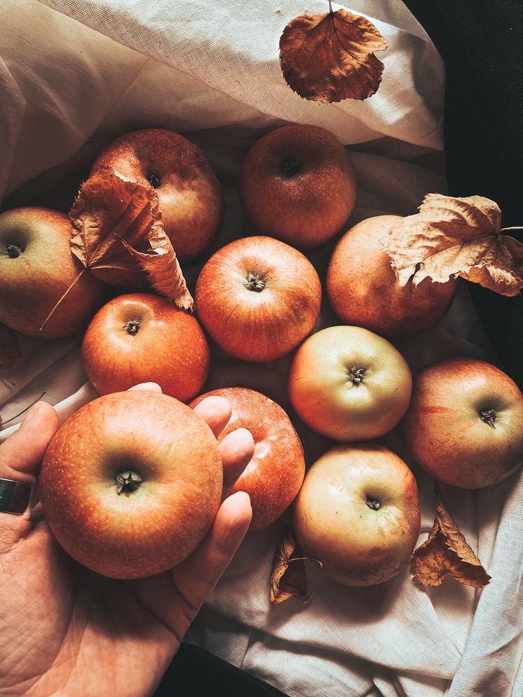 Photograph by Екатерина Мурсынина