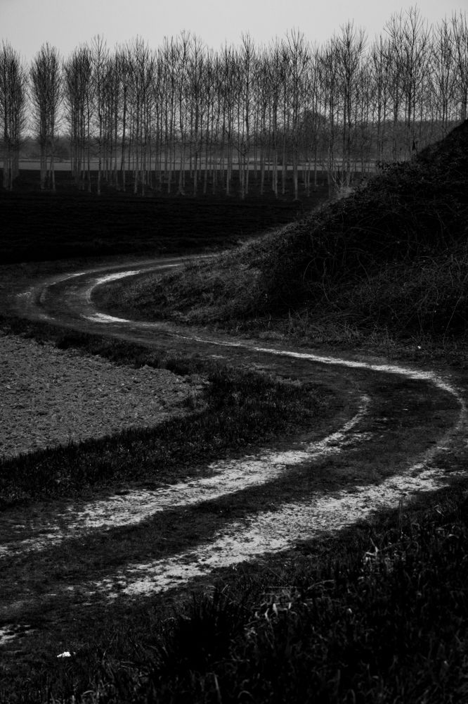 Photograph by Elliott Grieshofer