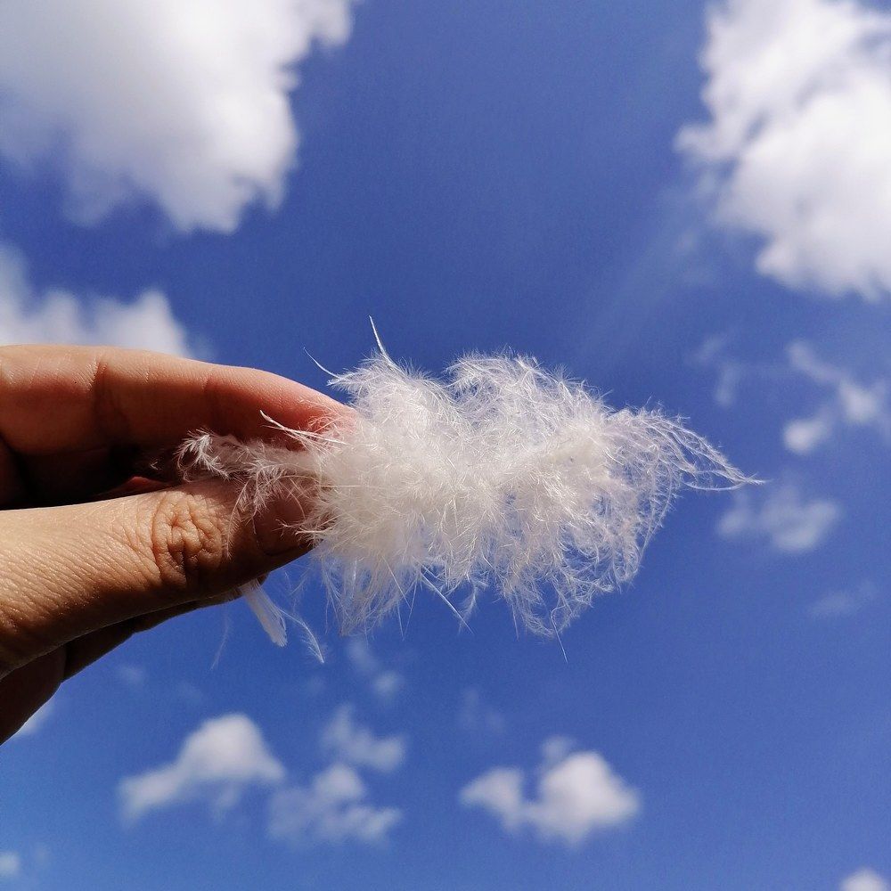 Photograph by Ирина Забродина