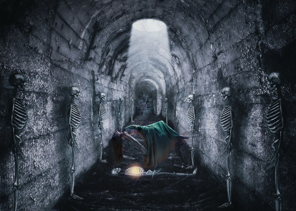 Photograph by Negar Jamalvand