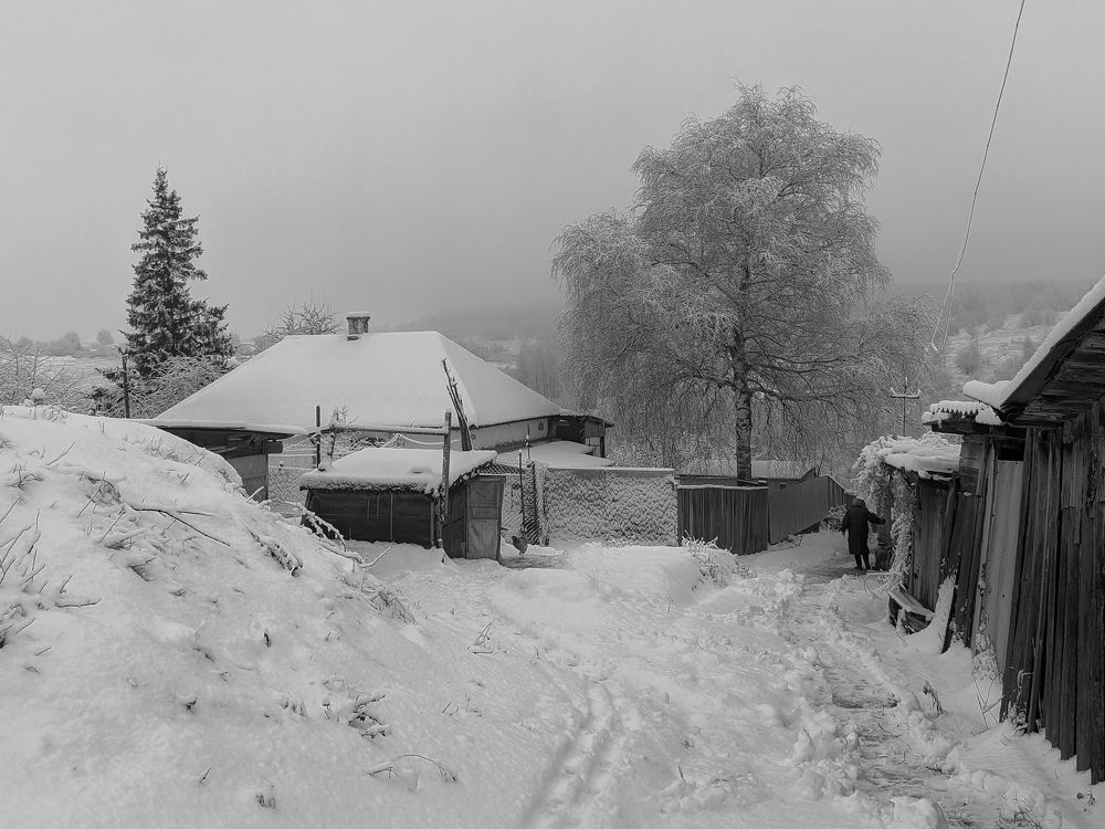 Photograph by Светлана Кондрашова