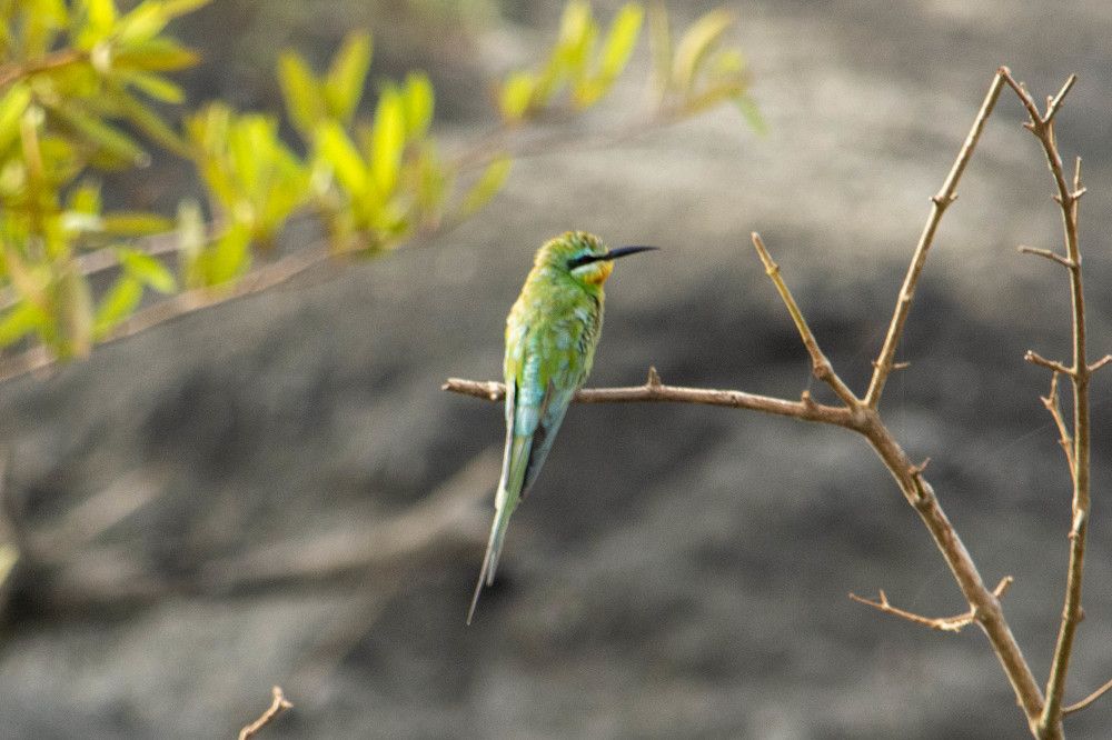 Фотография автора игорь Громов