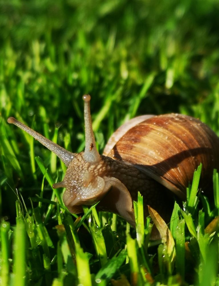 Photograph by Марина