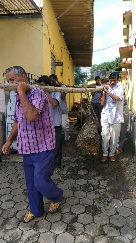 Фотография автора Santanu Dasgupta