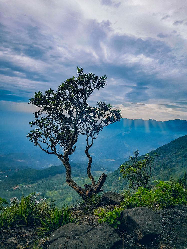 Photograph by Kalpa Aponsu