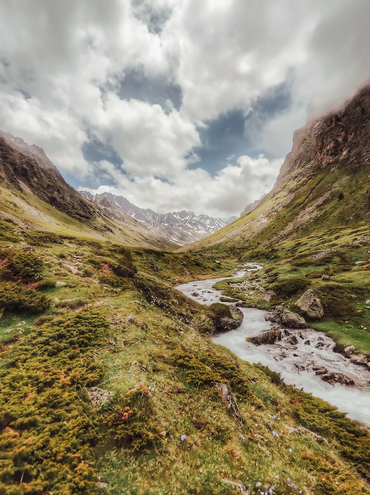 Photograph by Владимир Кульбит