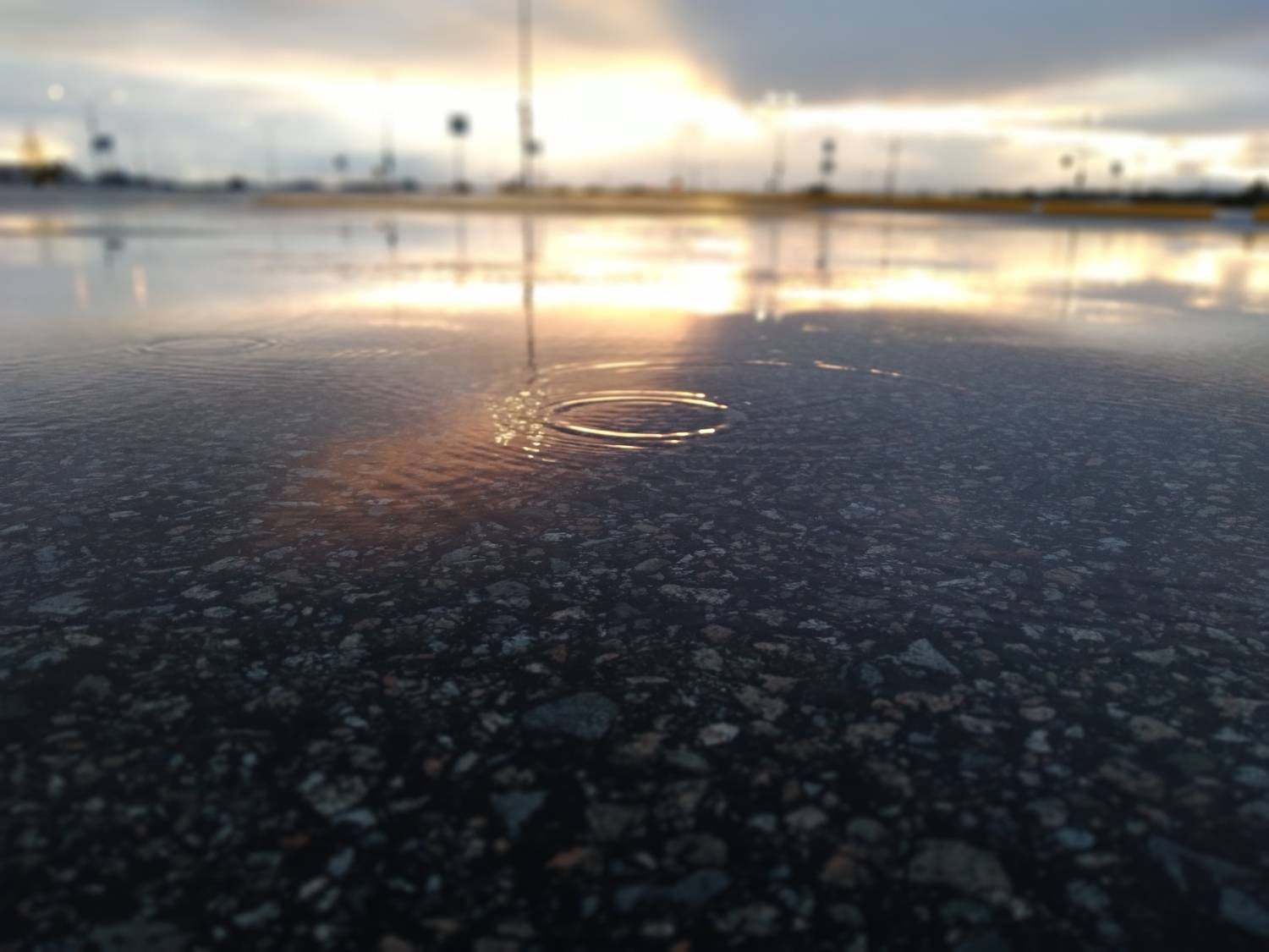 Photo #7709534