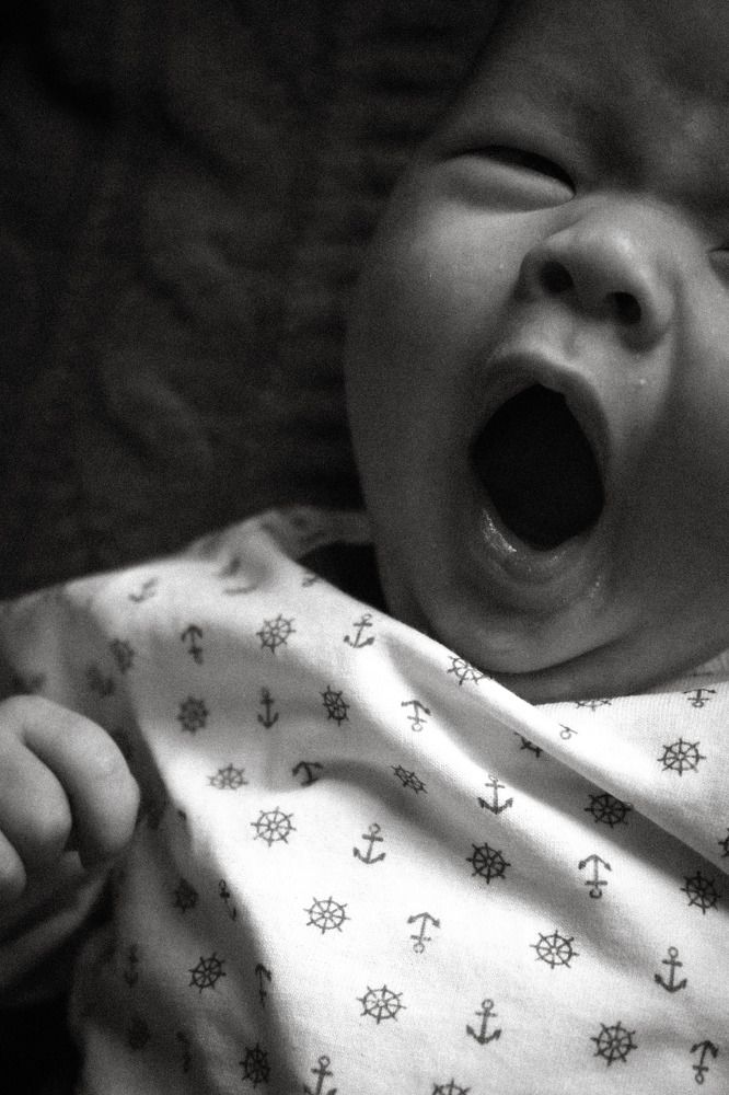 Фотография автора Марина Шигина