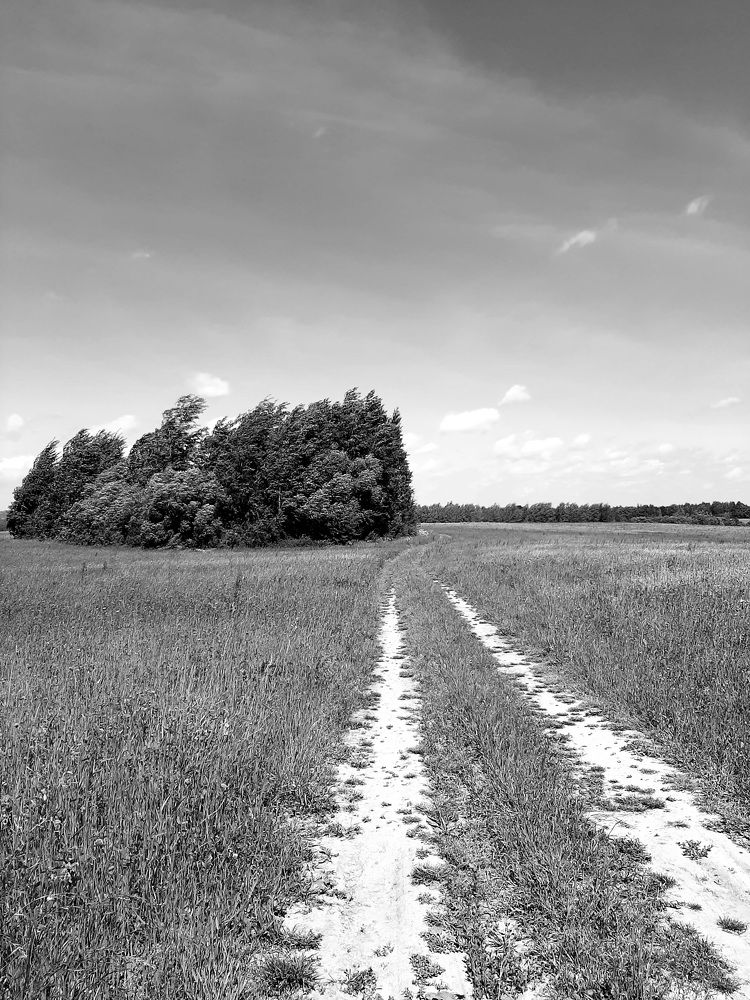 Photograph by Наталья Шехова