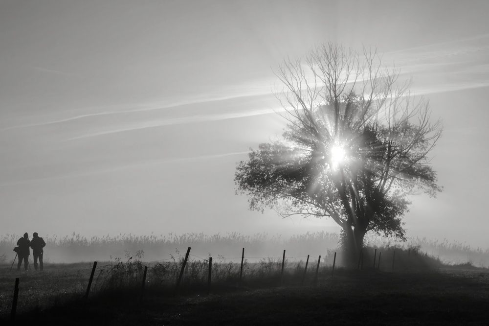 Photograph by Aliaksandra Klimchuk