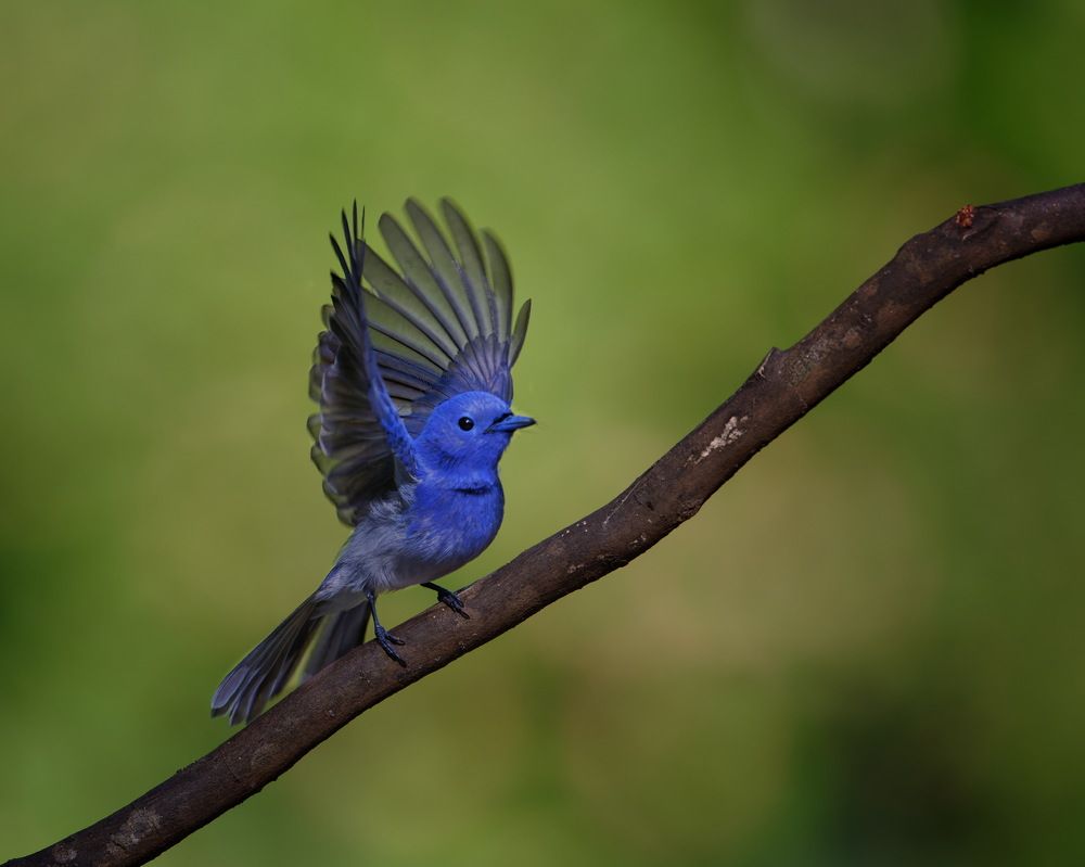 Photograph by arjun Kumar p