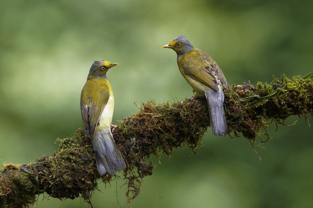 Photograph by arjun Kumar p