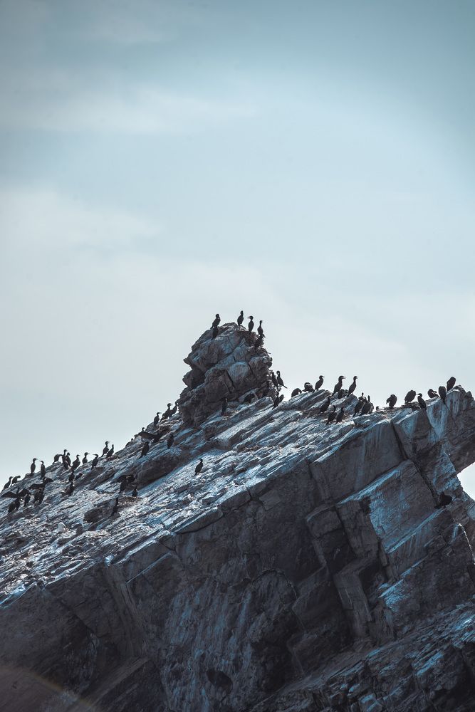 Photograph by Роман Седых