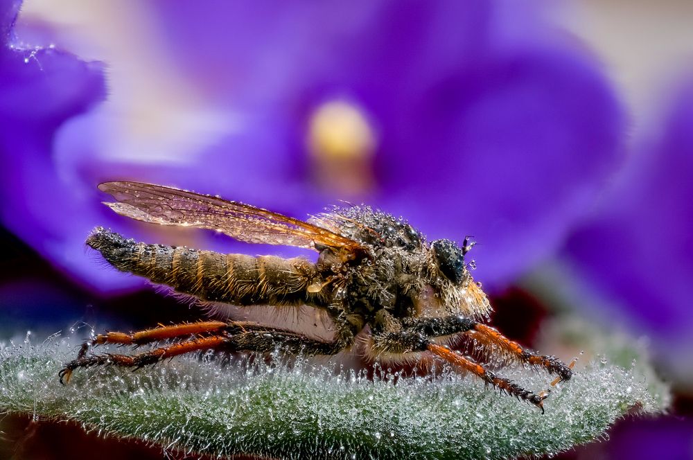 Photograph by Юрий Яковлевич