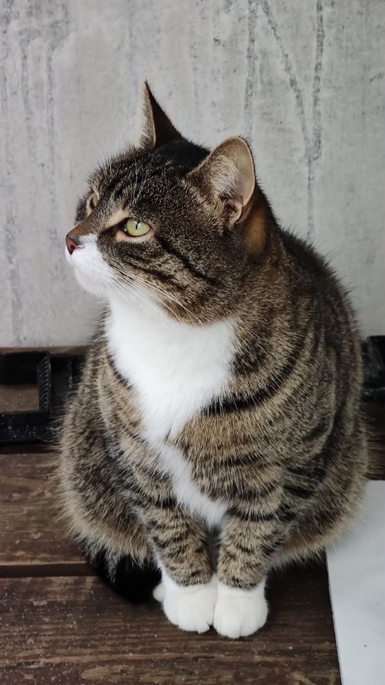 Photograph by Елена Румянцева