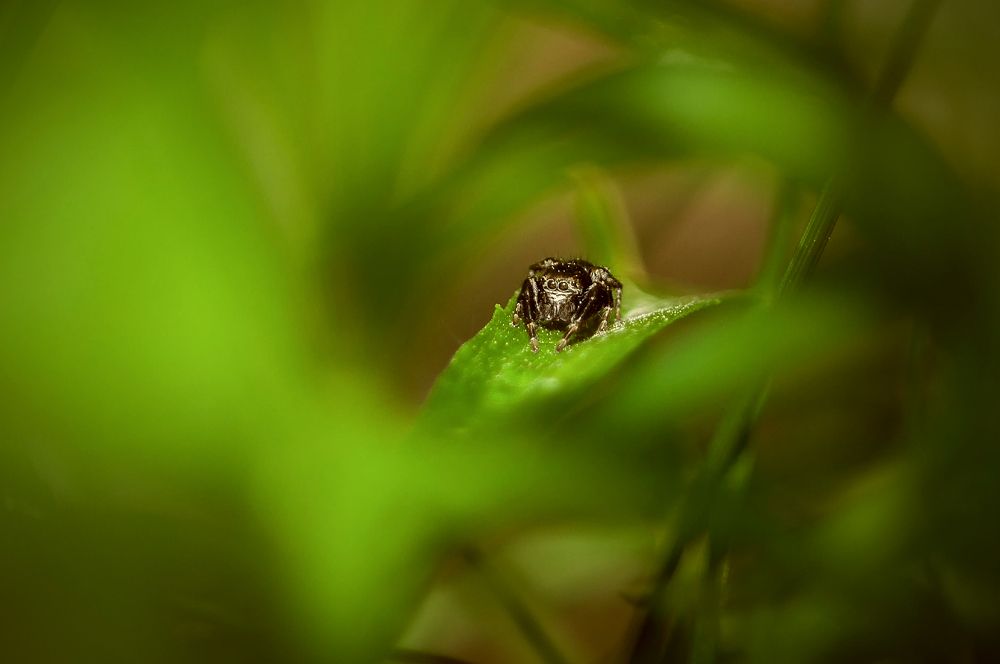 Photograph by Юрий Яковлевич