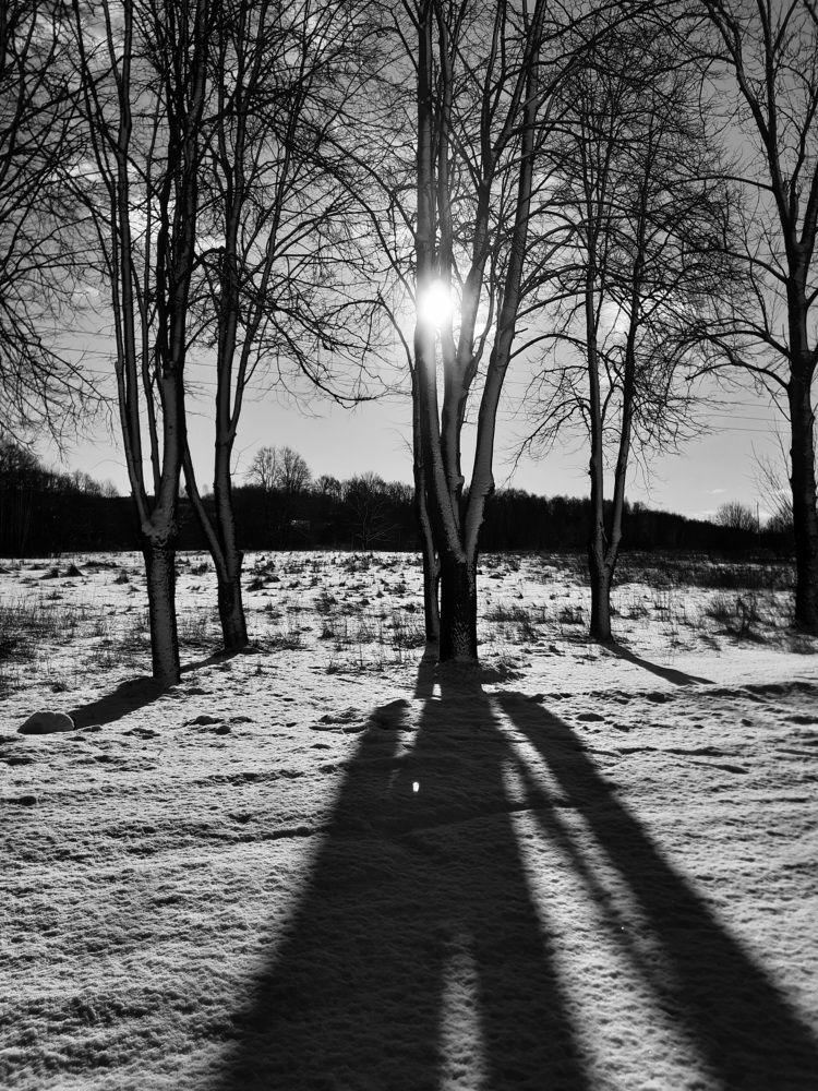 Photograph by Мария Юруть