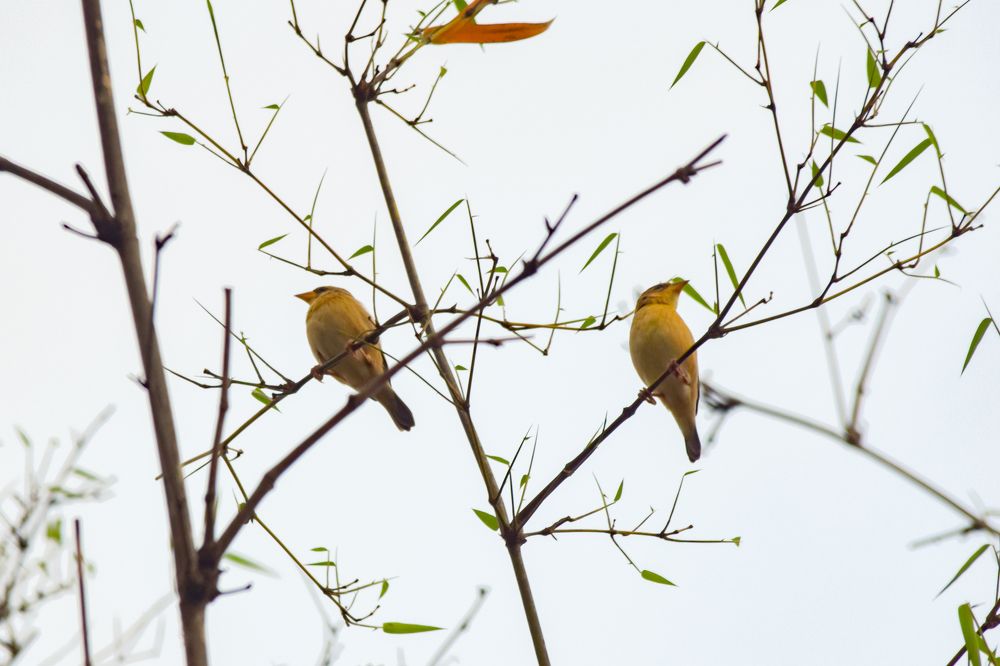 Photograph by Sanket Gudashi