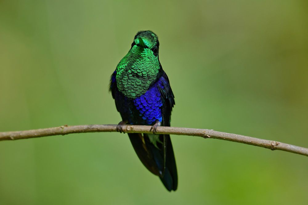 Фотография автора Олег Набровенков