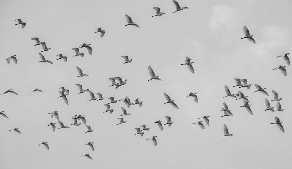 Photograph by Sanket Gudashi