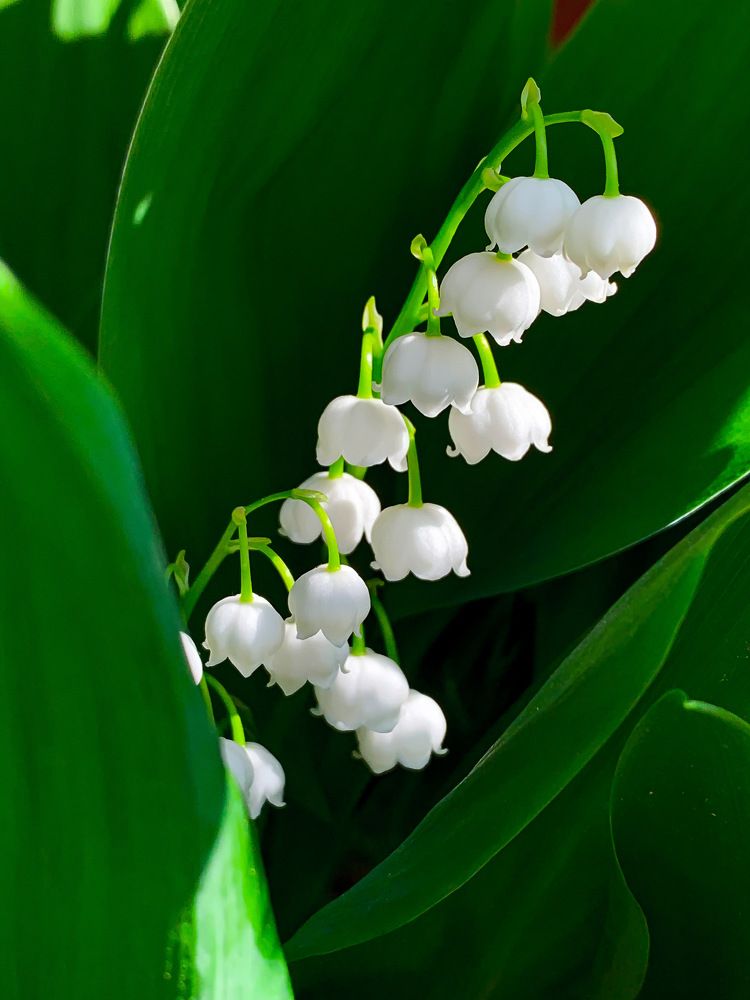 Photograph by Светлана