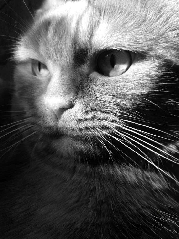 Photograph by Марина Бизяева