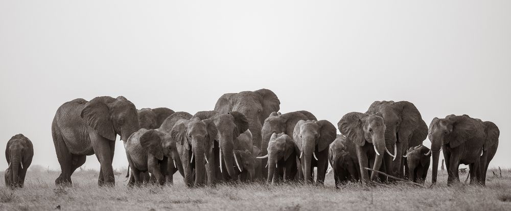 Photograph by Harry Blakey