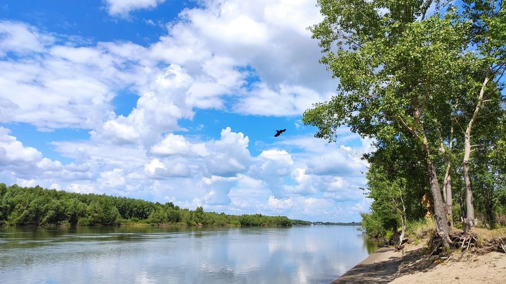 Photograph by Александр Лунин