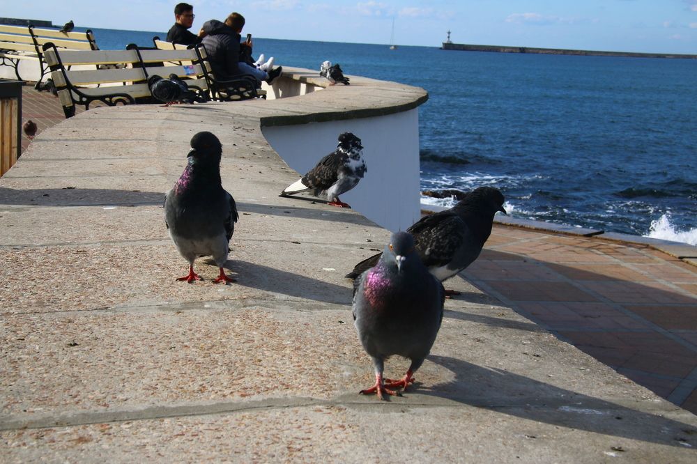 Photograph by Мария Баннова