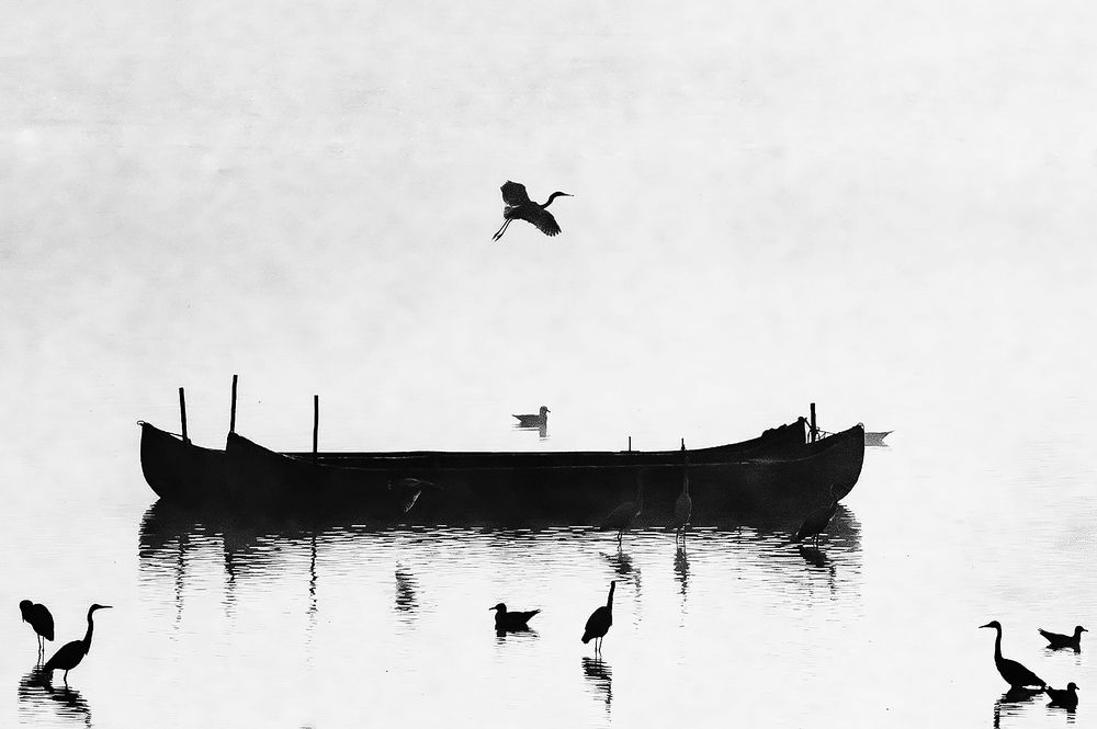 Photograph by Codrin Anton