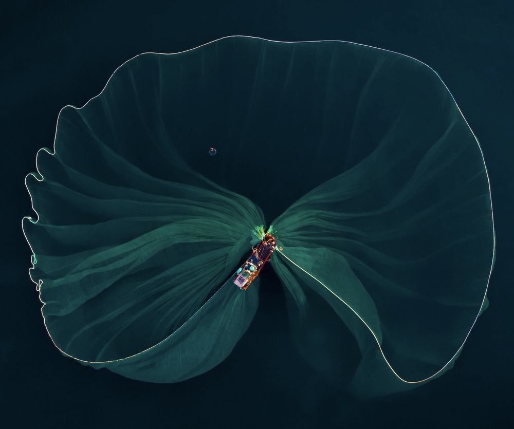 Catching fish with a big net