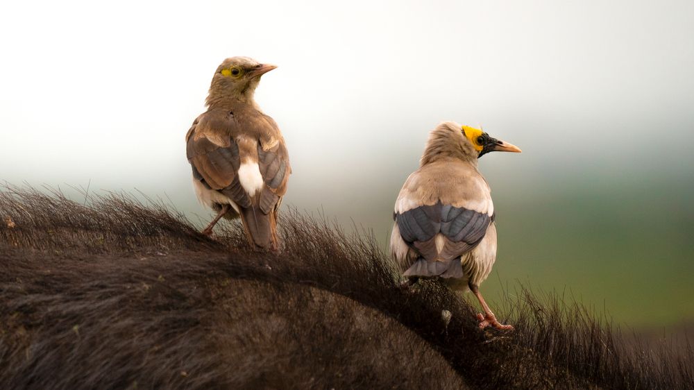 Photograph by Artem Khazov