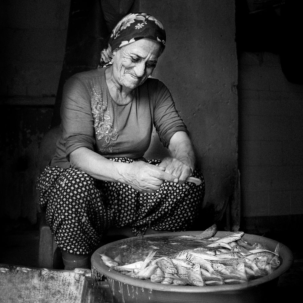 Photograph by Sandra Trajkovska