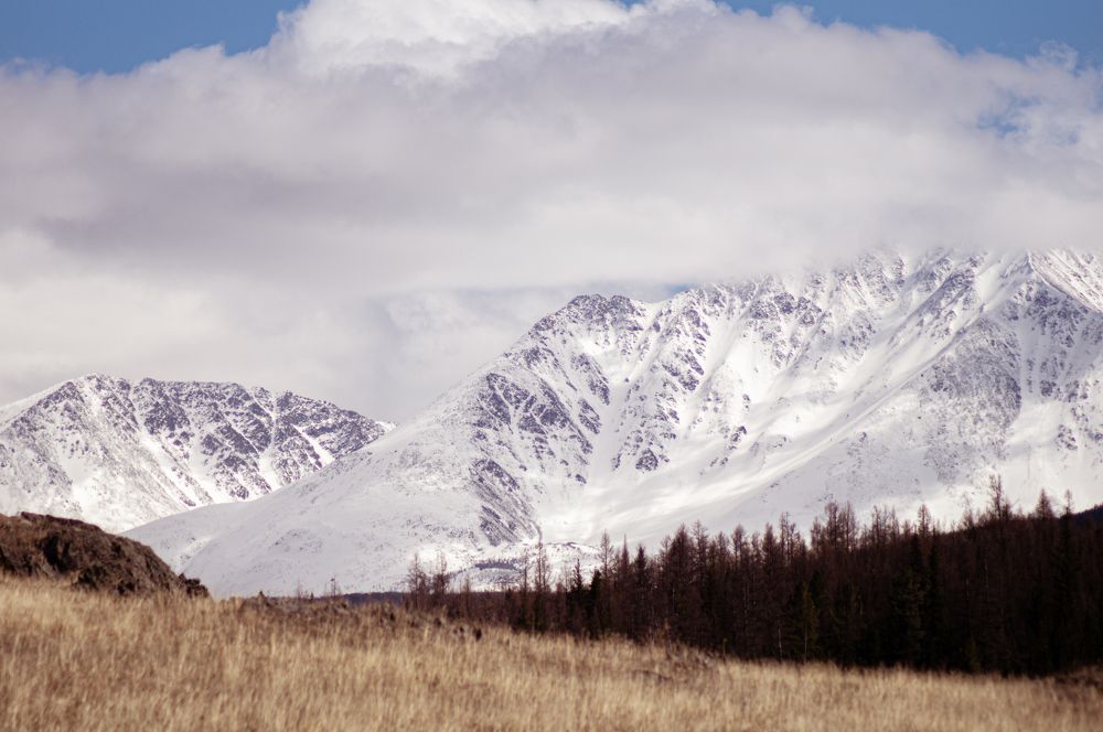 Photograph by Светлана Рыбалко