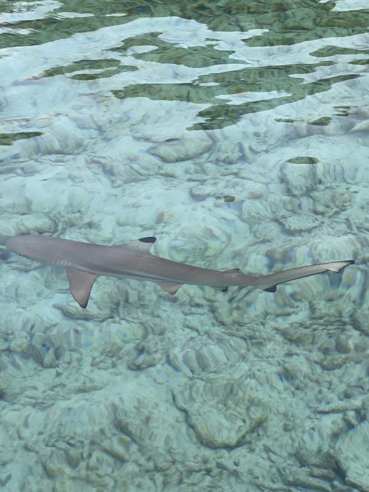 Photograph by Hooi Chuen Keh