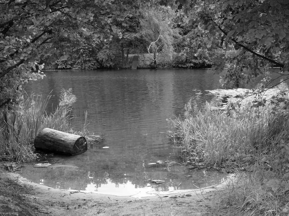 Photograph by Дарья Белова