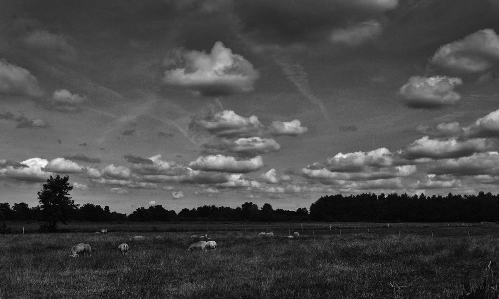 Photograph by ARNAB GHOSAL