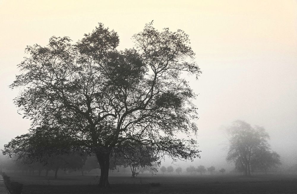 Photograph by Oluwagbemiga Ogundeji