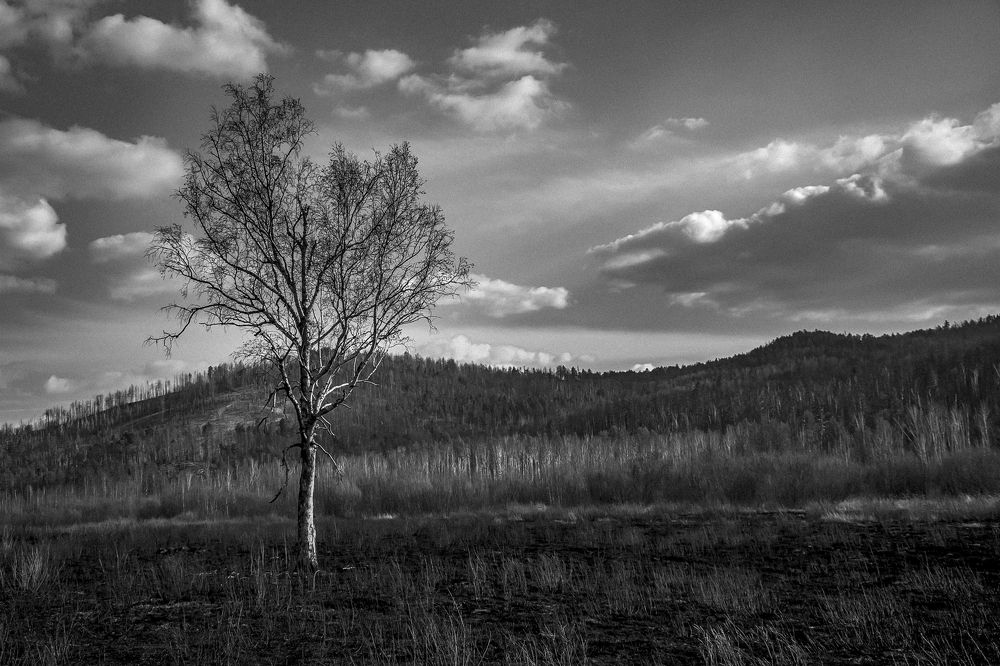 Photograph by Ирина Поремская