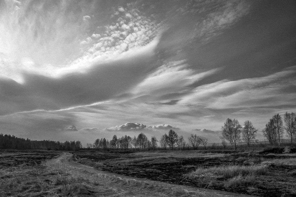 Photograph by Ирина Поремская